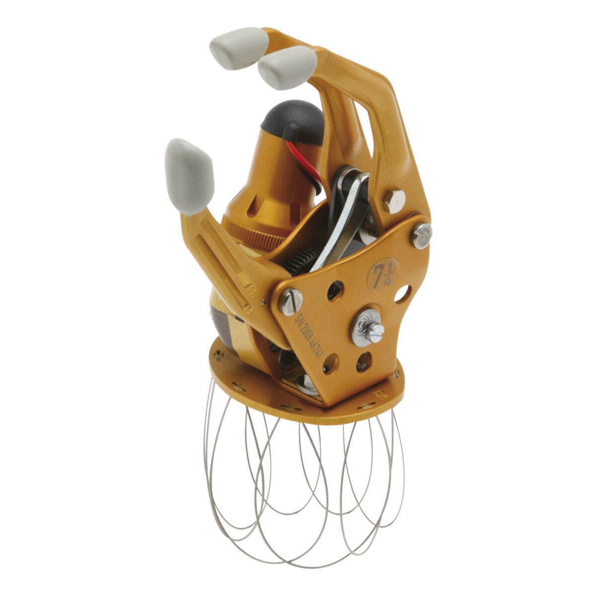 Transcarpal Hand DMC Plus