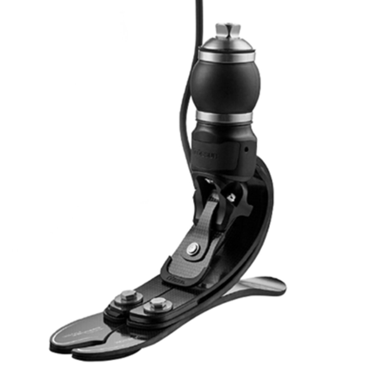 Pro-Flex® XC Torsion with Unity