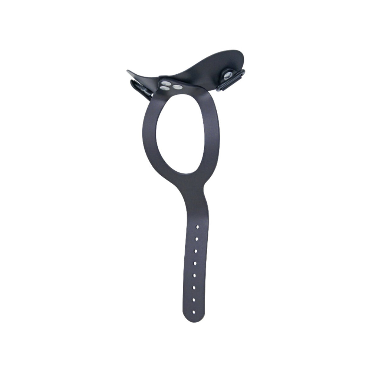 Lerman Minerva Chin Assembly