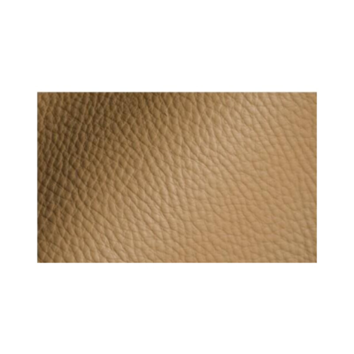 Leather Parchment