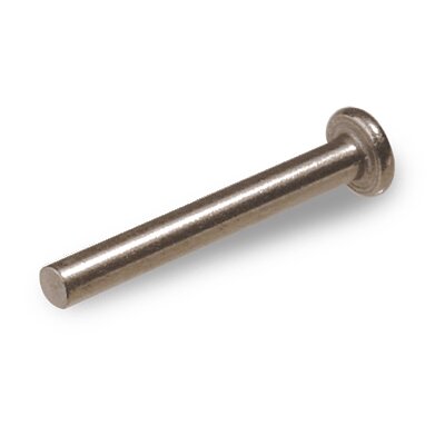 Monel Rivet