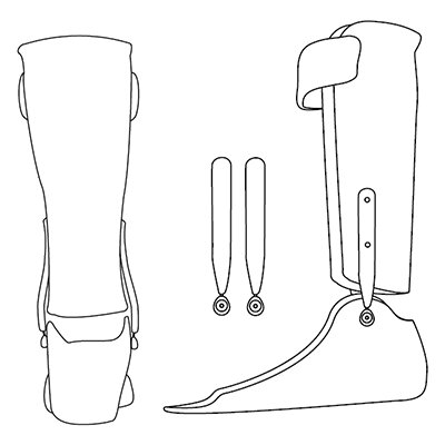 Ankle Joint