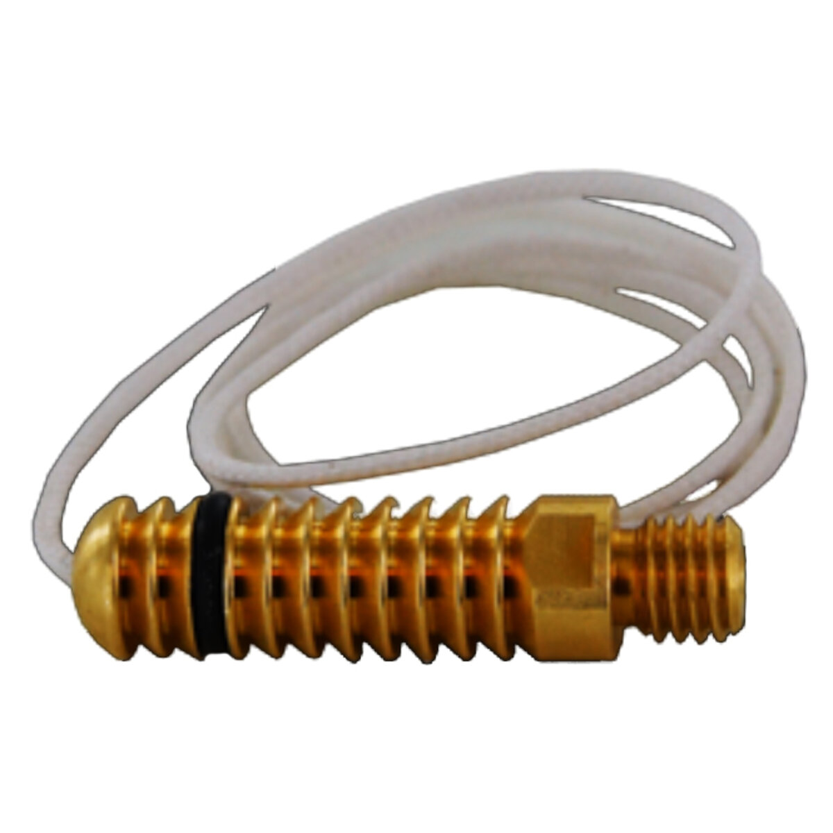 Locking Lanyard Pin