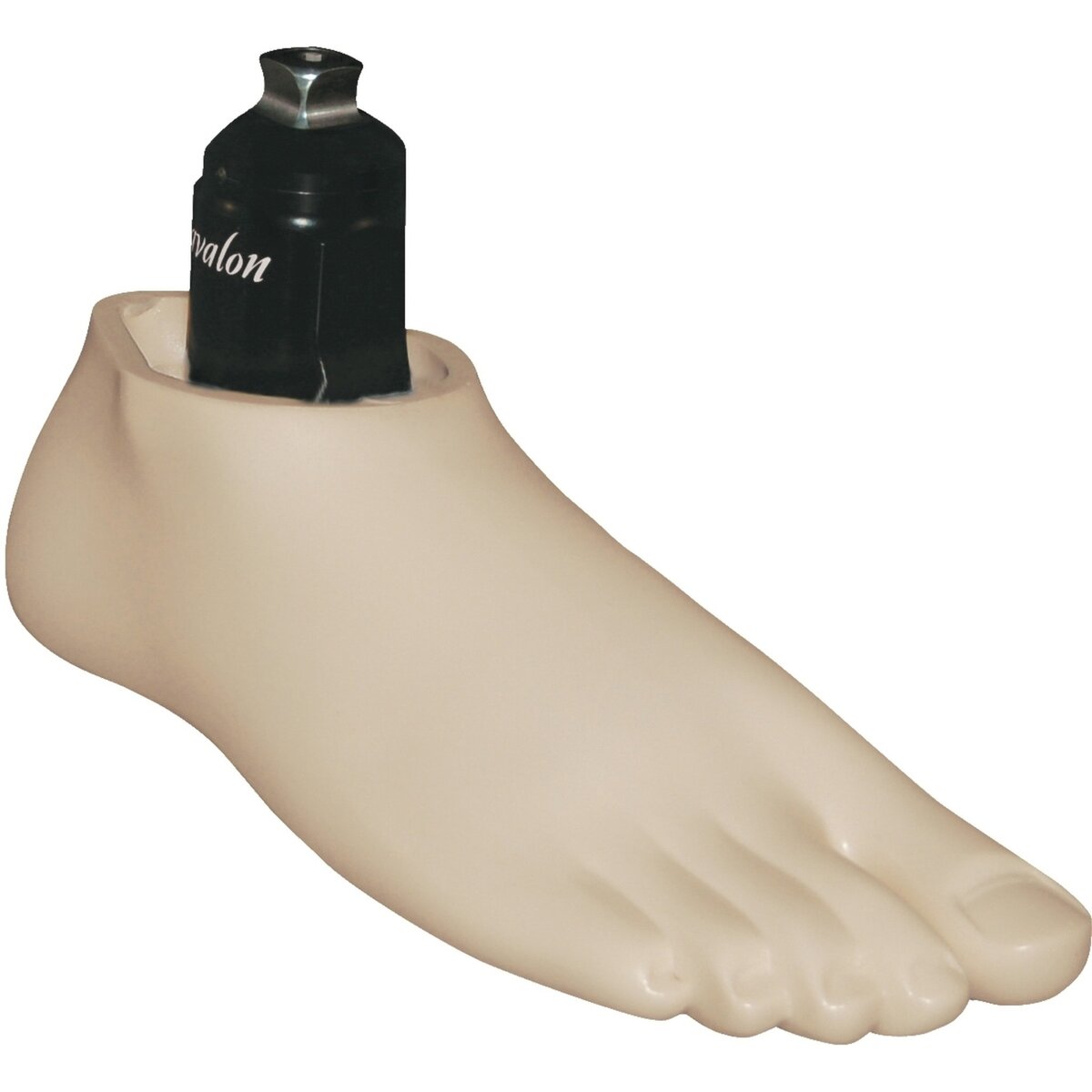 AvalonK2 Foot