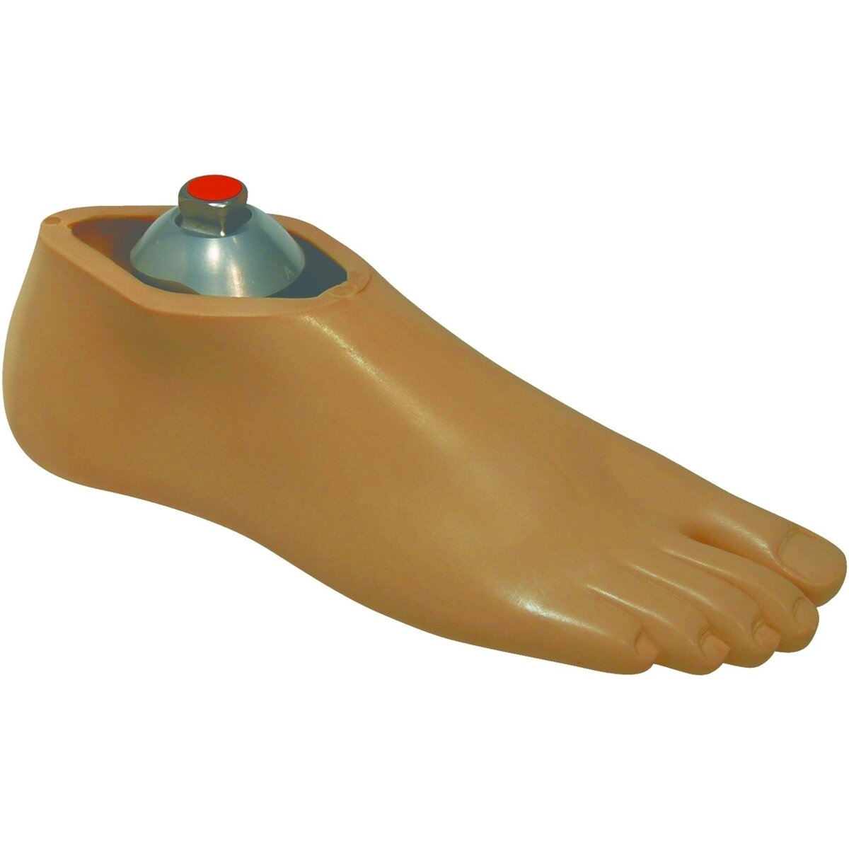 Coquille de pied Navigator