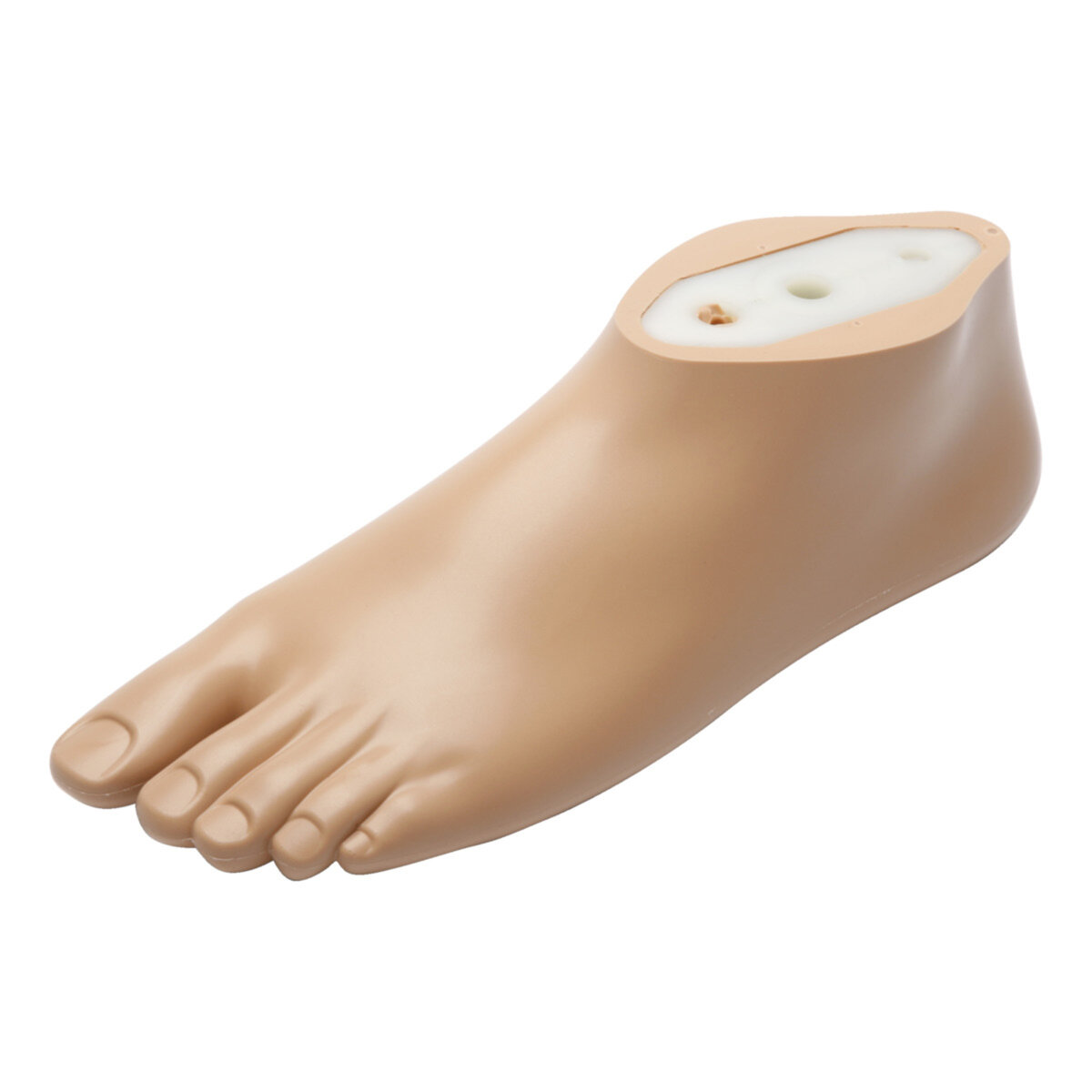SACH Plus Foot
