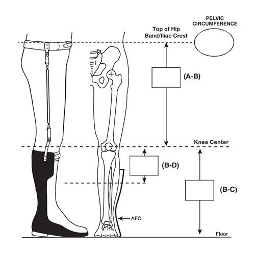 Model H-400 - Bilateral Hip-Ankle Torsion Shafts Attached to AFO