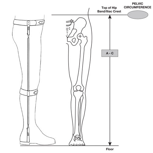 Model L-400 - Bilateral Hip-Ankle Torsion Splint