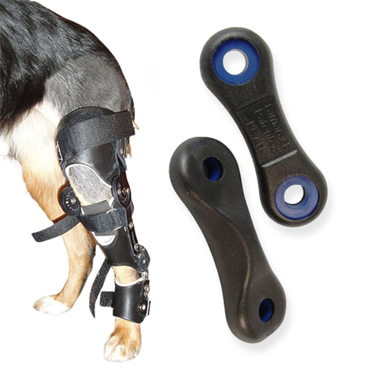 Tamarack Flexure Joint Veterinary Applications