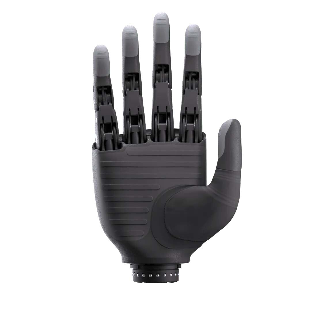 The Genesis Hand