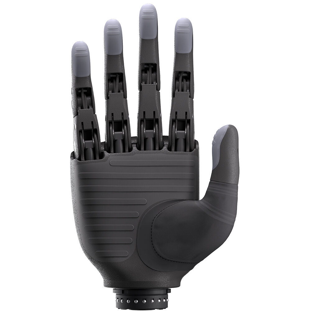 The Genesis Hand