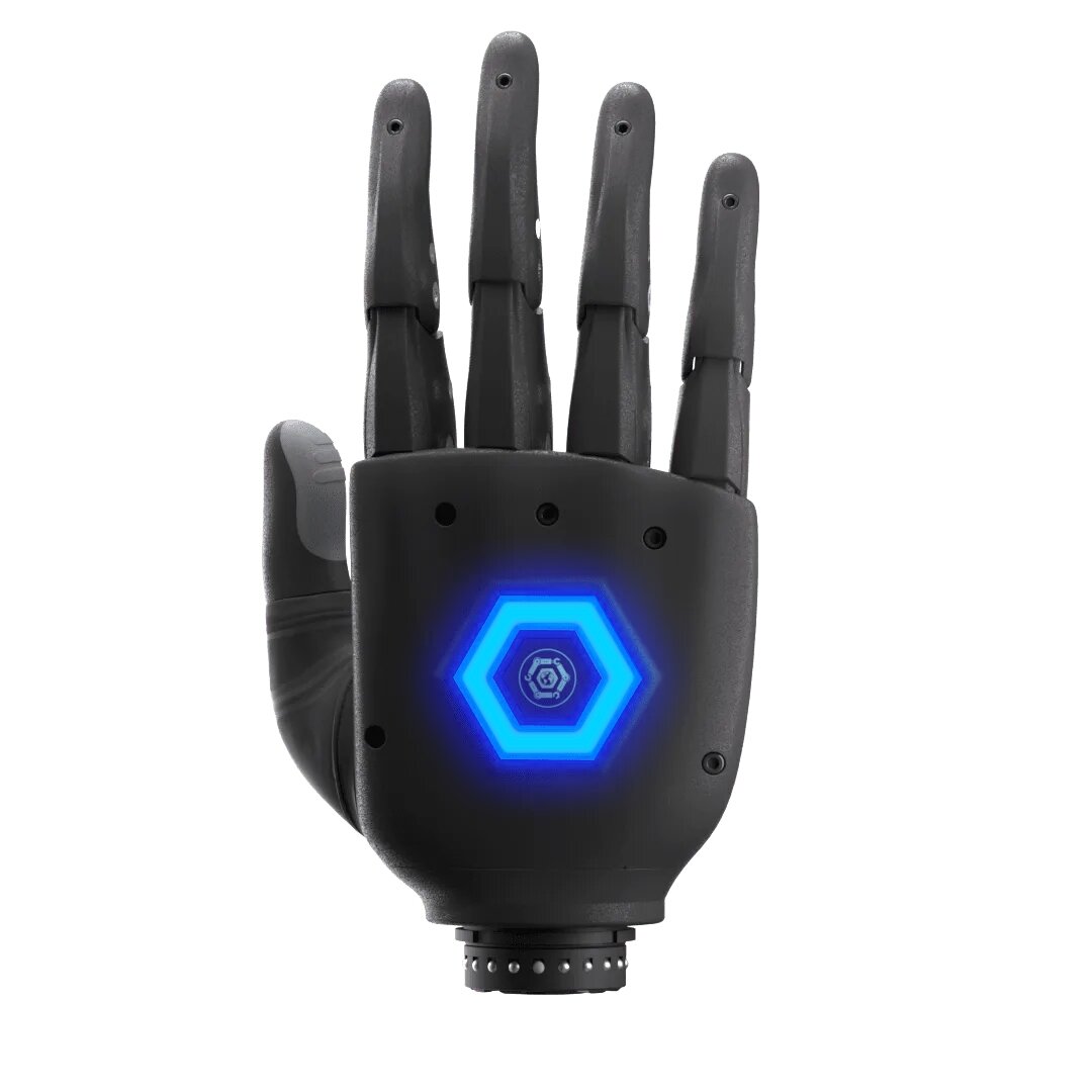 The Genesis Hand