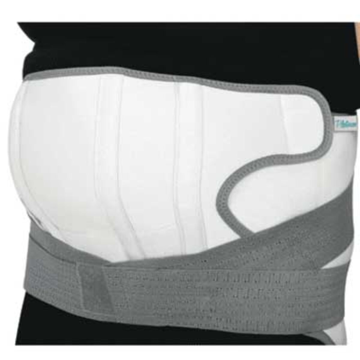 Platinum Pendulous Lumbosacral Support