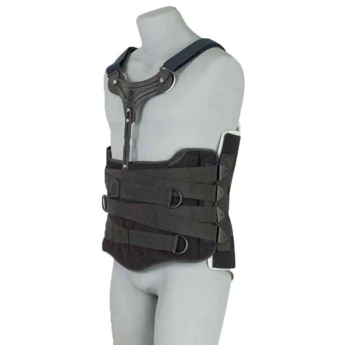 Stock Spinal California Soft Spinal Front TLSO