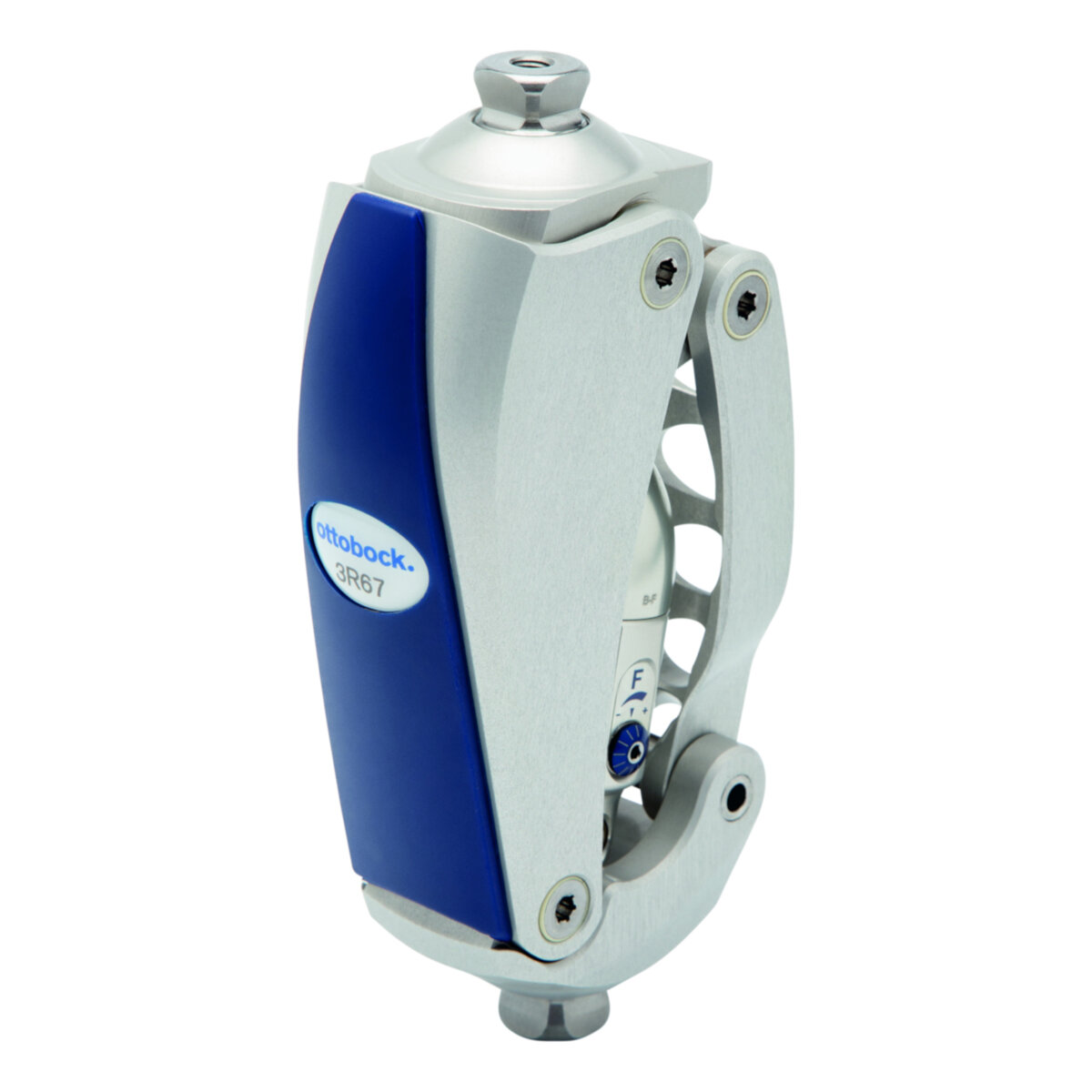 Children’s Knee Joint